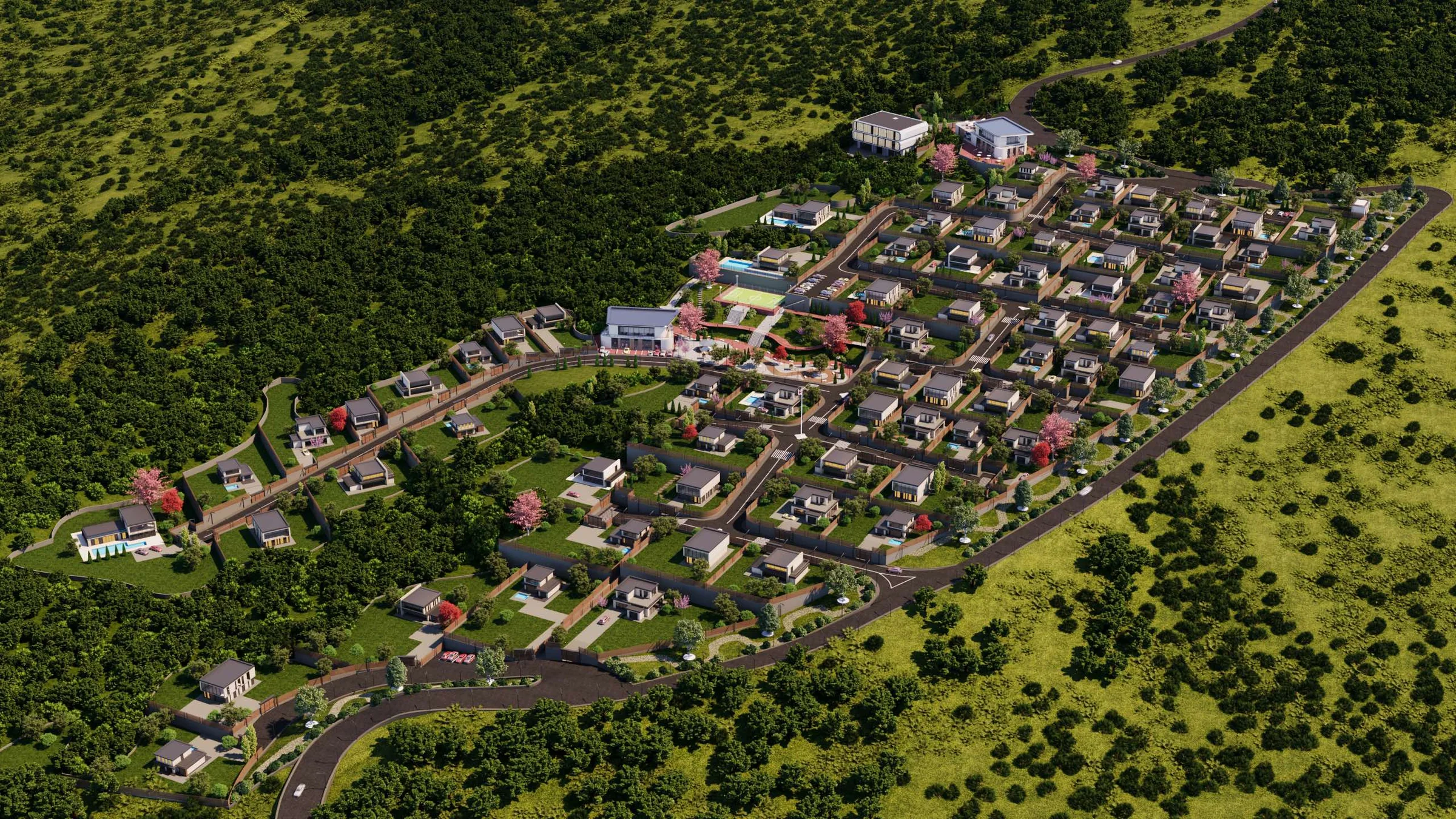 Lisi City View